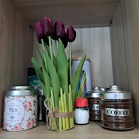 公寓 Eclectic With Stone